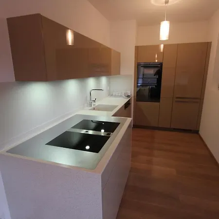 Apartment Luxury Center *